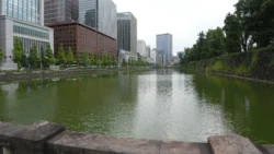 Tokyo Imperial Palace 1119527989