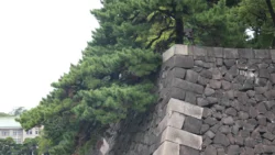 Tokyo Imperial Palace 988449399