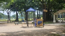 West Coast Park 1562870454
