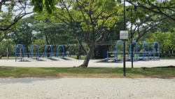 West Coast Park 3135527126