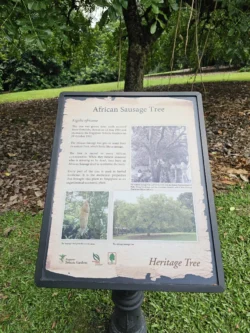Singapore Botanic Gardens 2301060656