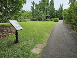 Singapore Botanic Gardens 3495425477