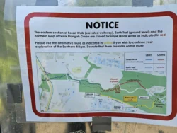 Alexandra Garden Trail 175138789