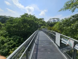 Alexandra Garden Trail 300710663