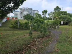 Lower Seletar Reservoir Park 1656040422