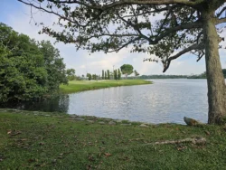 Lower Seletar Reservoir Park 582184918