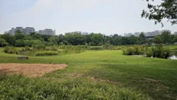 Sengkang Riverside Park 1942377205