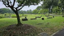 Sengkang Riverside Park 1394526707
