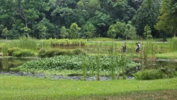 Sengkang Riverside Park 1460560675