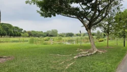 Sengkang Riverside Park 906739724