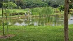 Sengkang Riverside Park 3826350825