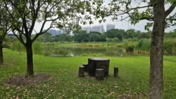 Sengkang Riverside Park 1211838686