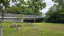 Sengkang Riverside Park 3407782641