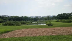 Sengkang Riverside Park 3859975566