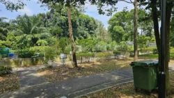 West Coast Park 1325084153