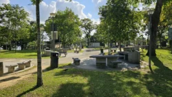 Sembawang Park 79345140