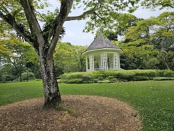 Singapore Botanic Gardens 519737307