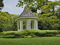 Singapore Botanic Gardens 3282953281