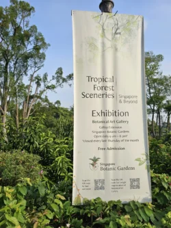 Singapore Botanic Gardens 3314309973