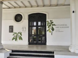 Singapore Botanic Gardens 183416830