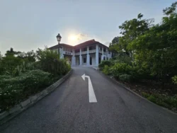 Singapore Botanic Gardens 1189187098