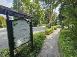 Singapore Botanic Gardens 1315651560