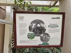 Singapore Botanic Gardens 18206482