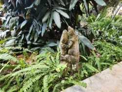 Singapore Botanic Gardens 2697206602