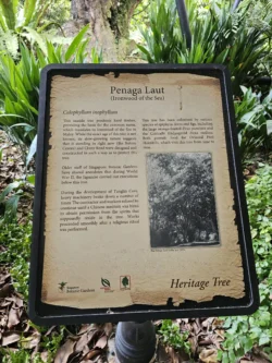 Singapore Botanic Gardens 2747111554