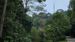 Bukit Batok Nature Park 3907413761