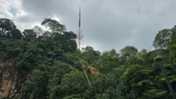 Bukit Batok Nature Park 3344964430