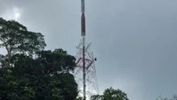 Bukit Batok Nature Park 174748989