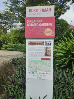 Singapore Botanic Gardens 458160032