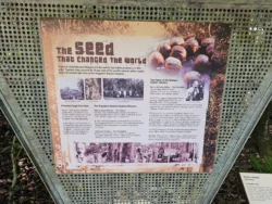 Singapore Botanic Gardens 148494964