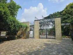Singapore Botanic Gardens 2193309200