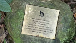 Bukit Timah Nature Reserve 609005712