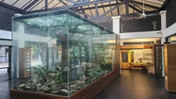 Bukit Timah Nature Reserve 907656979