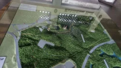 Bukit Timah Nature Reserve 3781236002