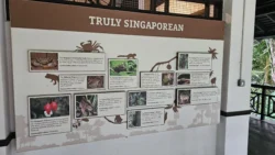 Bukit Timah Nature Reserve 3456979472