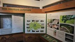 Bukit Timah Nature Reserve 4067777639