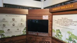 Bukit Timah Nature Reserve 621672022