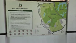 Bukit Timah Nature Reserve 4155471805