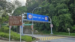 Bukit Timah Nature Reserve 3238461547