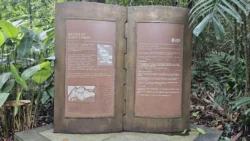 Bukit Timah Nature Reserve 3006027588