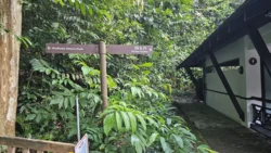 Bukit Timah Nature Reserve 1683291509