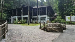 Bukit Timah Nature Reserve 2628240644