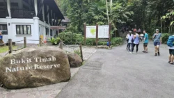 Bukit Timah Nature Reserve 3785071520