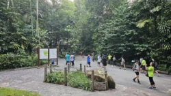 Bukit Timah Nature Reserve 3504433116