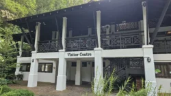 Bukit Timah Nature Reserve 878716165