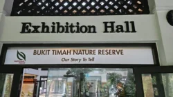 Bukit Timah Nature Reserve 880691301